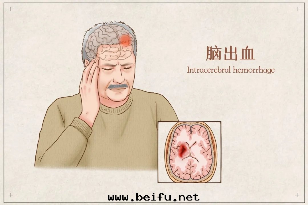 1616751550536629.jpg 1616751550536629.jpg