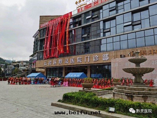 1617094652739924.jpg 黔靈.jpg